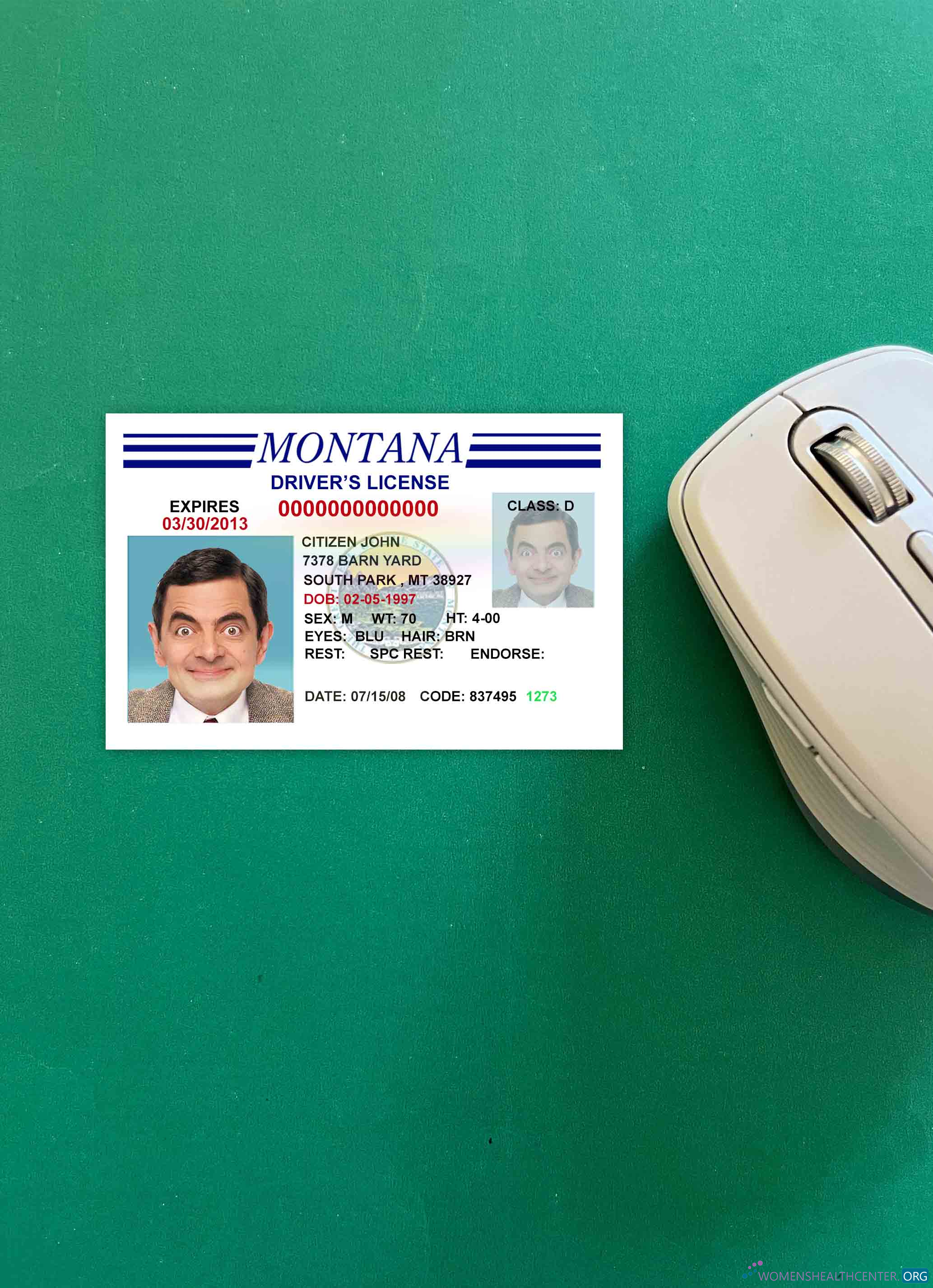 Download USA Montana driving license version 3 photolook FRONT Photoshop template